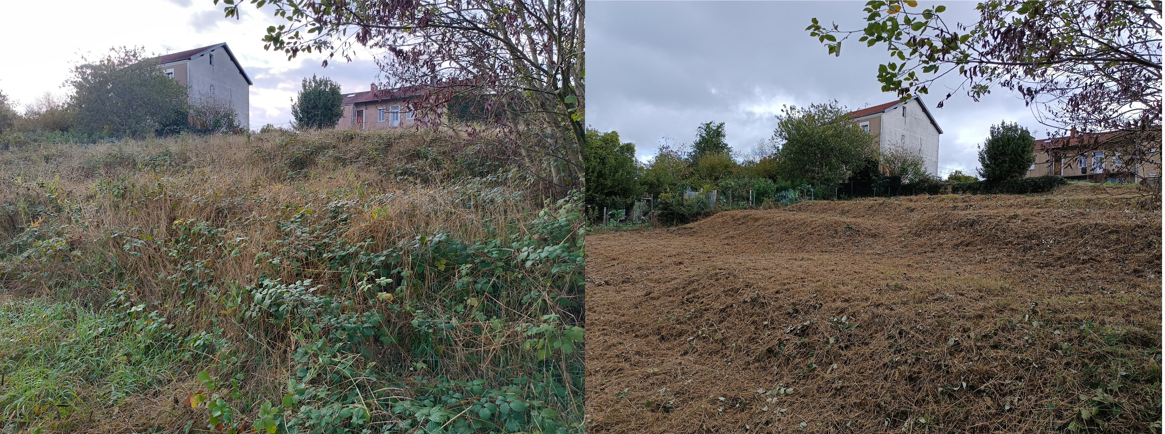 Débroussaillage et prévention incendie